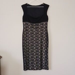 David Meister Whimsigoth Black and Cream Lace Bodycon Dress, Size 12